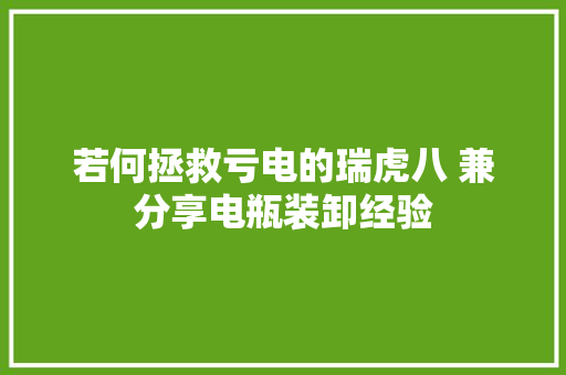 若何拯救亏电的瑞虎八 兼分享电瓶装卸经验
