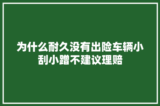为什么耐久没有出险车辆小刮小蹭不建议理赔