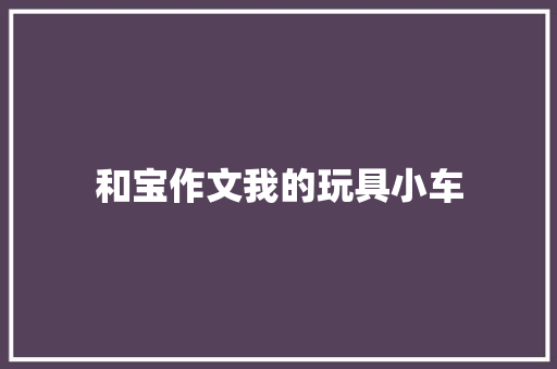 和宝作文我的玩具小车