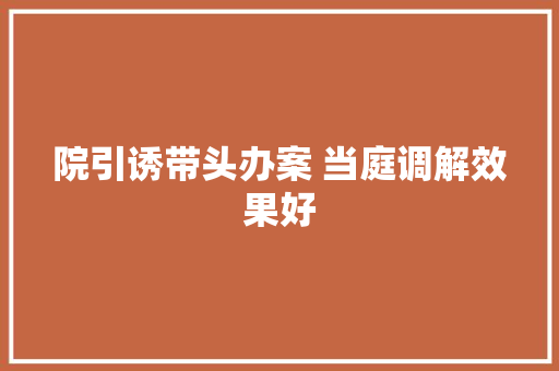 院引诱带头办案 当庭调解效果好