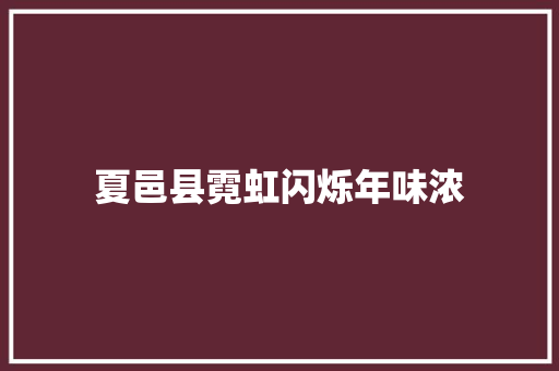 夏邑县霓虹闪烁年味浓