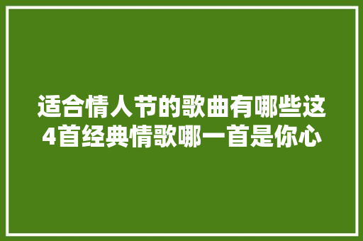 适合情人节的歌曲有哪些这4首经典情歌哪一首是你心中最爱