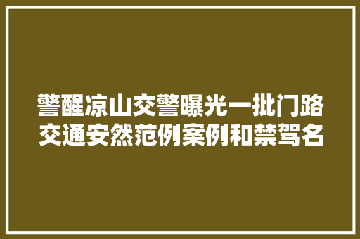 警醒凉山交警曝光一批门路交通安然范例案例和禁驾名单