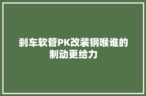 刹车软管PK改装钢喉谁的制动更给力