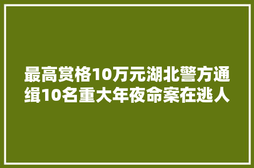 最高赏格10万元湖北警方通缉10名重大年夜命案在逃人员