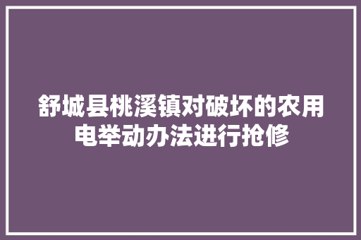 舒城县桃溪镇对破坏的农用电举动办法进行抢修
