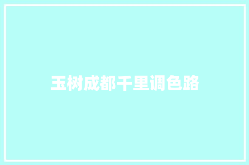 玉树成都千里调色路