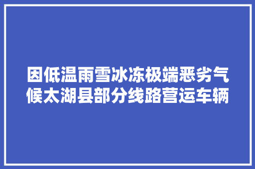 因低温雨雪冰冻极端恶劣气候太湖县部分线路营运车辆停运