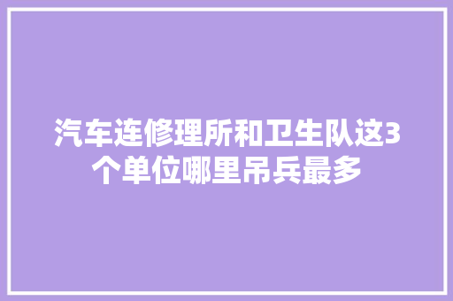 汽车连修理所和卫生队这3个单位哪里吊兵最多
