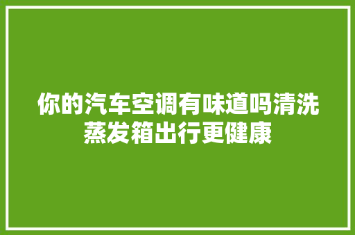 你的汽车空调有味道吗清洗蒸发箱出行更健康