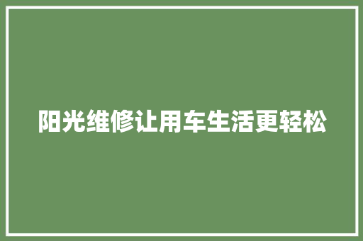 阳光维修让用车生活更轻松