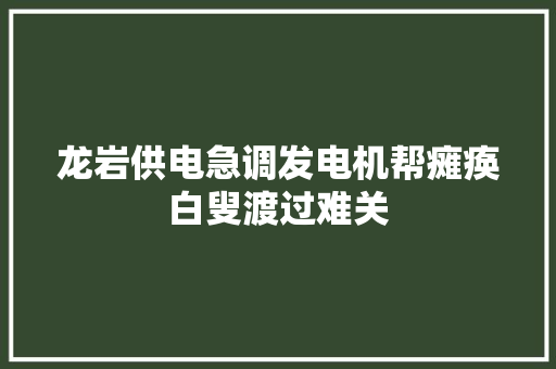 龙岩供电急调发电机帮瘫痪白叟渡过难关
