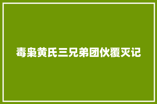 毒枭黄氏三兄弟团伙覆灭记