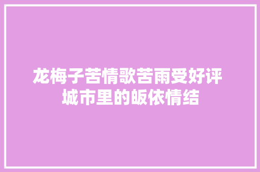 龙梅子苦情歌苦雨受好评 城市里的皈依情结