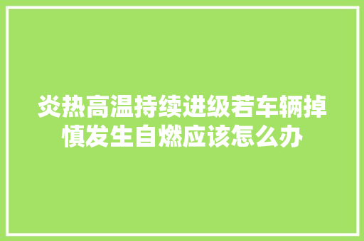 炎热高温持续进级若车辆掉慎发生自燃应该怎么办