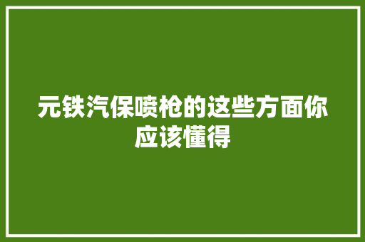 元铁汽保喷枪的这些方面你应该懂得