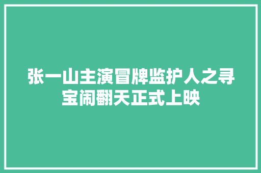 张一山主演冒牌监护人之寻宝闹翻天正式上映