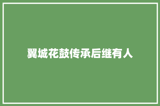 翼城花鼓传承后继有人