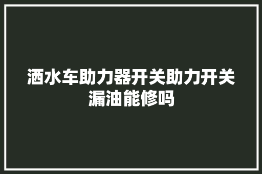 洒水车助力器开关助力开关漏油能修吗