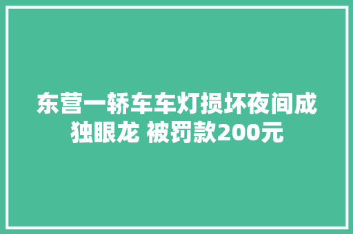 东营一轿车车灯损坏夜间成独眼龙 被罚款200元