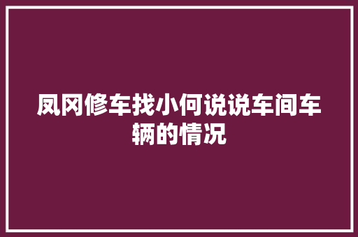 凤冈修车找小何说说车间车辆的情况