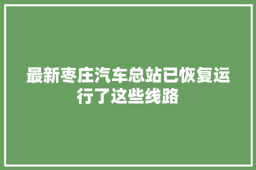 最新枣庄汽车总站已恢复运行了这些线路