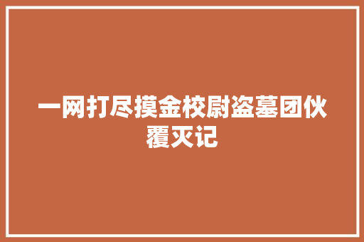 一网打尽摸金校尉盗墓团伙覆灭记