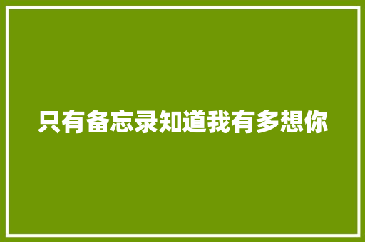 只有备忘录知道我有多想你