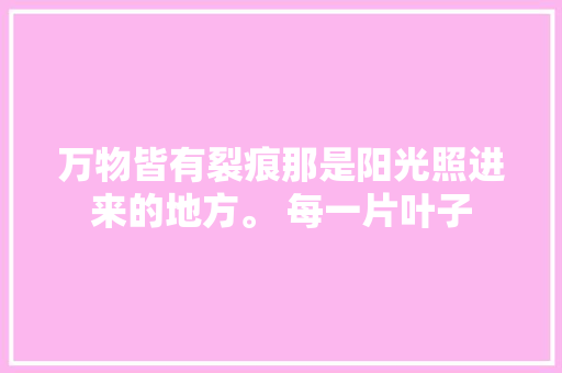 万物皆有裂痕那是阳光照进来的地方。 每一片叶子