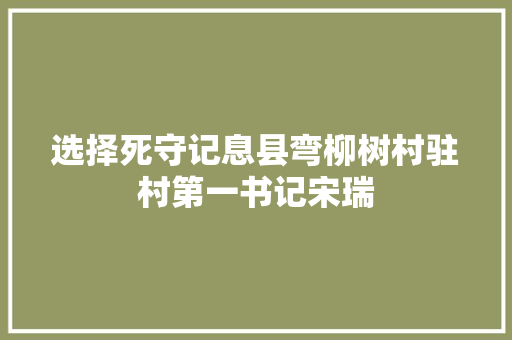 选择死守记息县弯柳树村驻村第一书记宋瑞