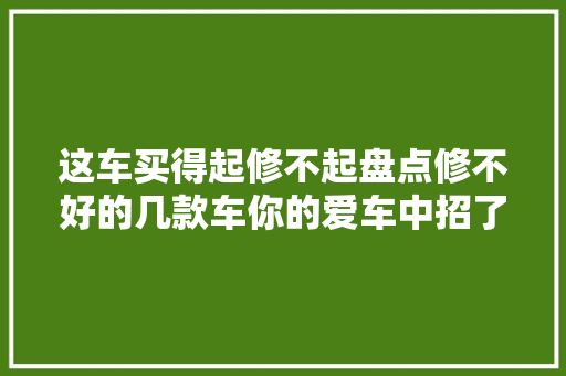 这车买得起修不起盘点修不好的几款车你的爱车中招了吗