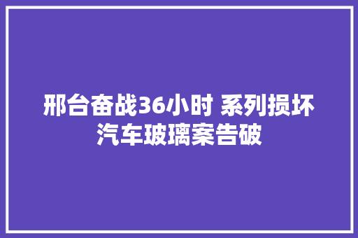 邢台奋战36小时 系列损坏汽车玻璃案告破