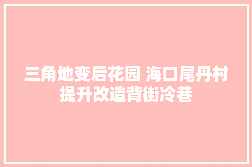 三角地变后花园 海口尾丹村提升改造背街冷巷
