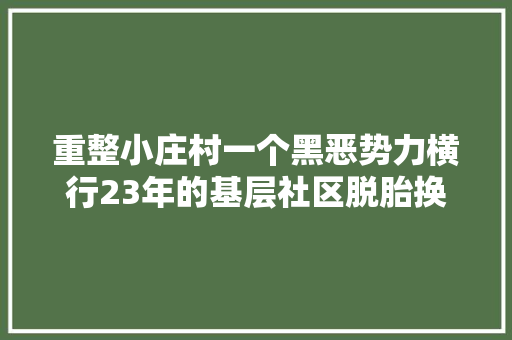 重整小庄村一个黑恶势力横行23年的基层社区脱胎换骨 汽车知识