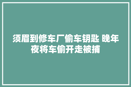 须眉到修车厂偷车钥匙 晚年夜将车偷开走被捕
