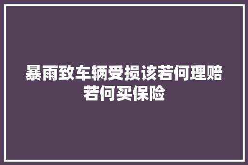 暴雨致车辆受损该若何理赔若何买保险