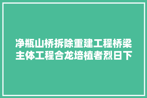 净瓶山桥拆除重建工程桥梁主体工程合龙培植者烈日下分秒必争确保新桥岁尾建成通车