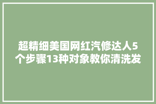 超精细美国网红汽修达人5个步骤13种对象教你清洗发动机舱