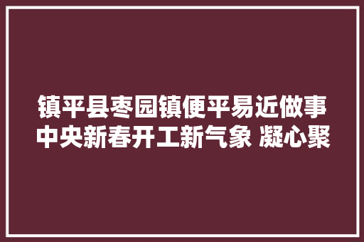 镇平县枣园镇便平易近做事中央新春开工新气象 凝心聚力谋开篇