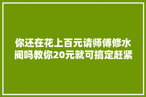 你还在花上百元请师傅修水阀吗教你20元就可搞定赶紧收藏起来