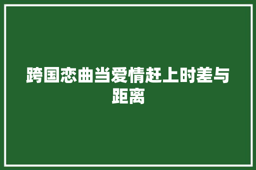 跨国恋曲当爱情赶上时差与距离