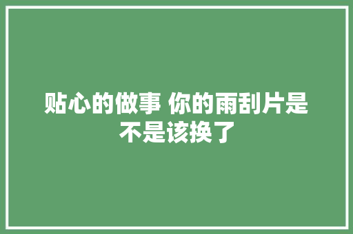 贴心的做事 你的雨刮片是不是该换了