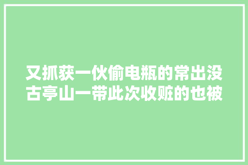 又抓获一伙偷电瓶的常出没古亭山一带此次收赃的也被查了 汽车知识