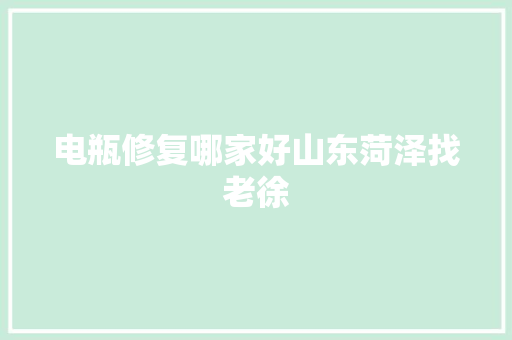 电瓶修复哪家好山东菏泽找老徐