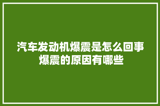汽车发动机爆震是怎么回事 爆震的原因有哪些