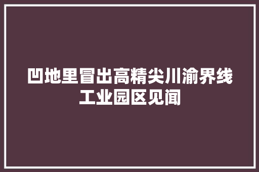 凹地里冒出高精尖川渝界线工业园区见闻