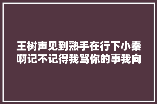 王树声见到熟手在行下小秦啊记不记得我骂你的事我向你道歉