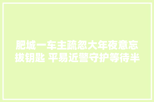 肥城一车主疏忽大年夜意忘拔钥匙 平易近警守护等待半小时