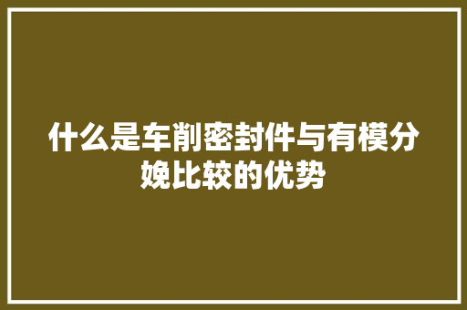 什么是车削密封件与有模分娩比较的优势