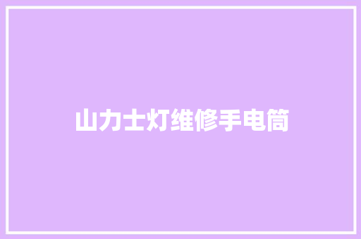 山力士灯维修手电筒